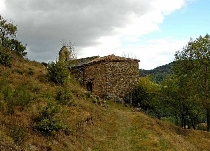 avant-nef